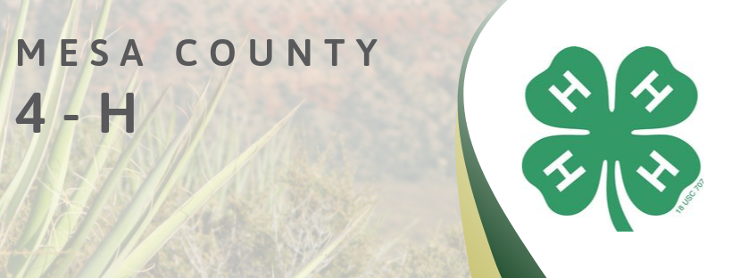 Mesa-County-4-H