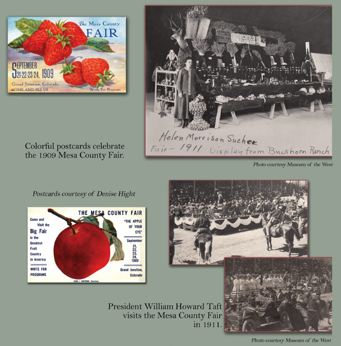 Mesa County Fair - About Us