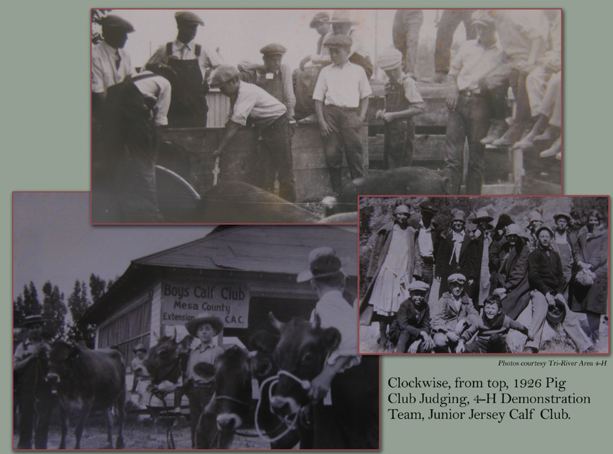 Mesa County Fair - About Us