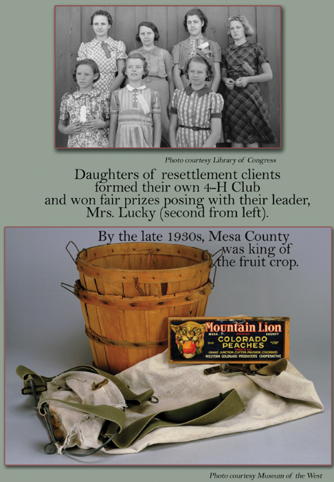 Mesa County Fair - About Us