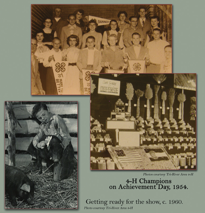 Mesa County Fair - About Us