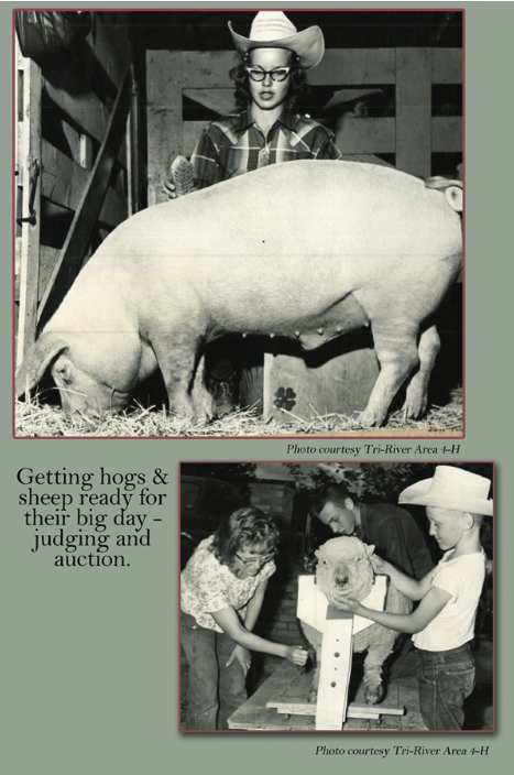 Mesa County Fair - About Us