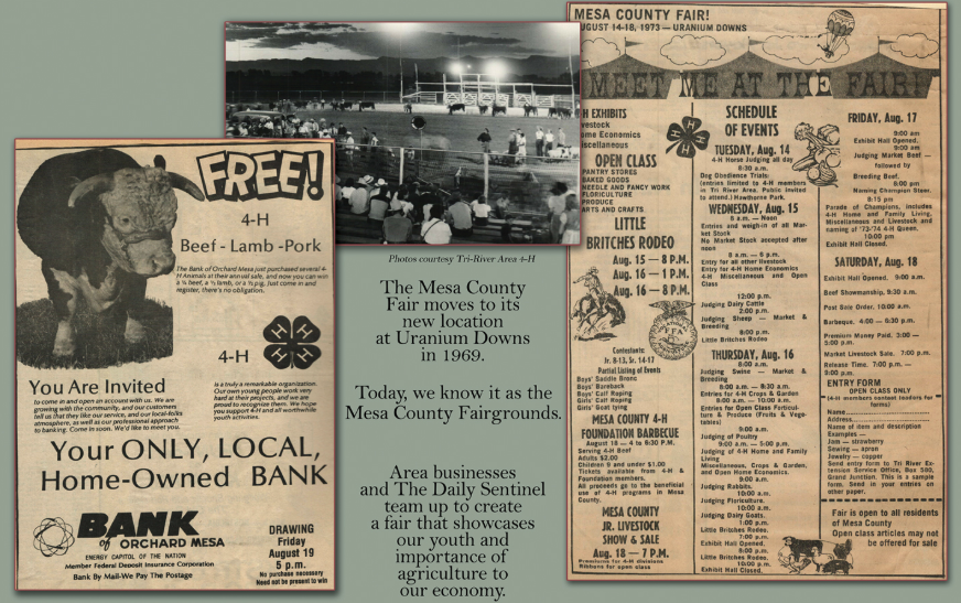 Mesa County Fair - About Us