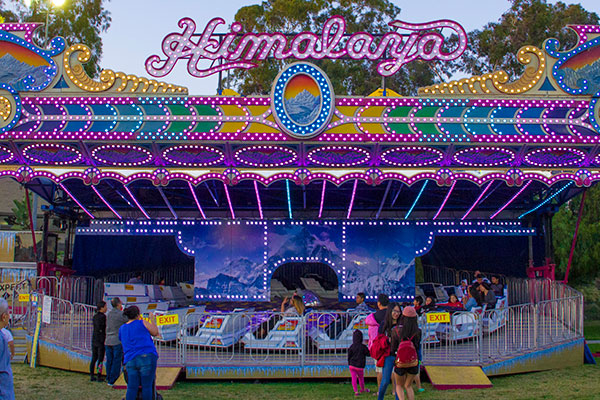 Mesa County Fair Himalaya