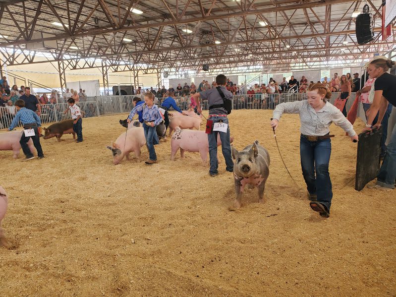 2025 Mesa County Fair