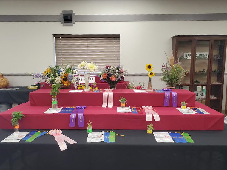 Mesa County Fair Awards