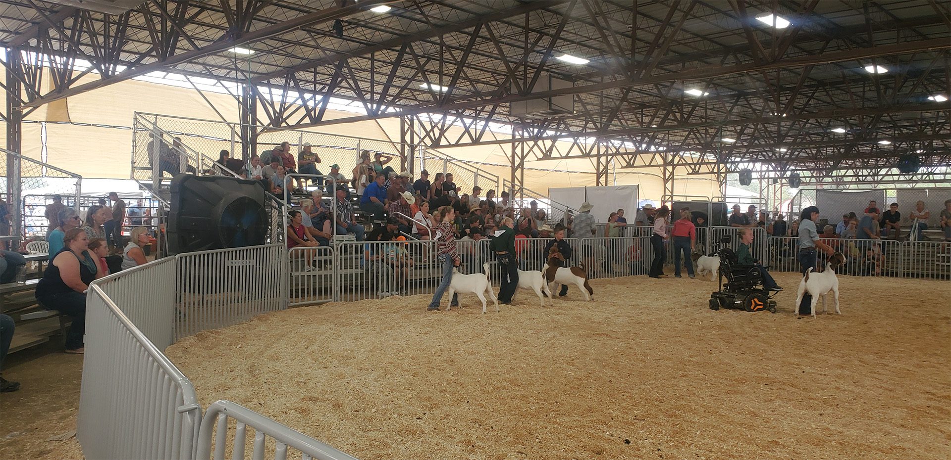 Mesa County Fair Sponsors